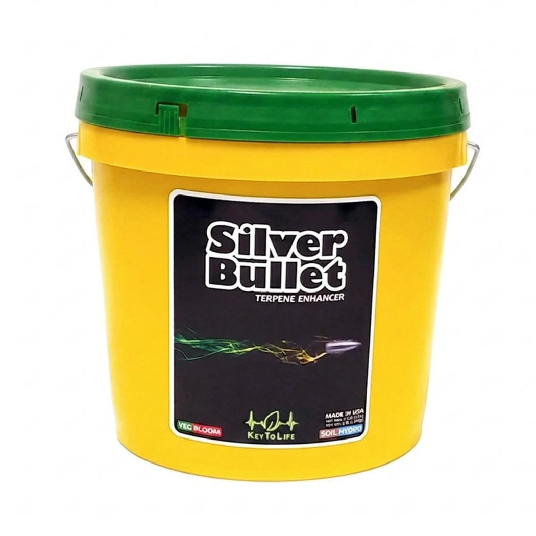 Key To Life Silver Bullet 4lb