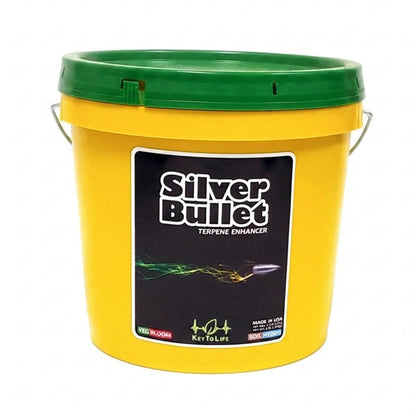 Key To Life Silver Bullet 4lb