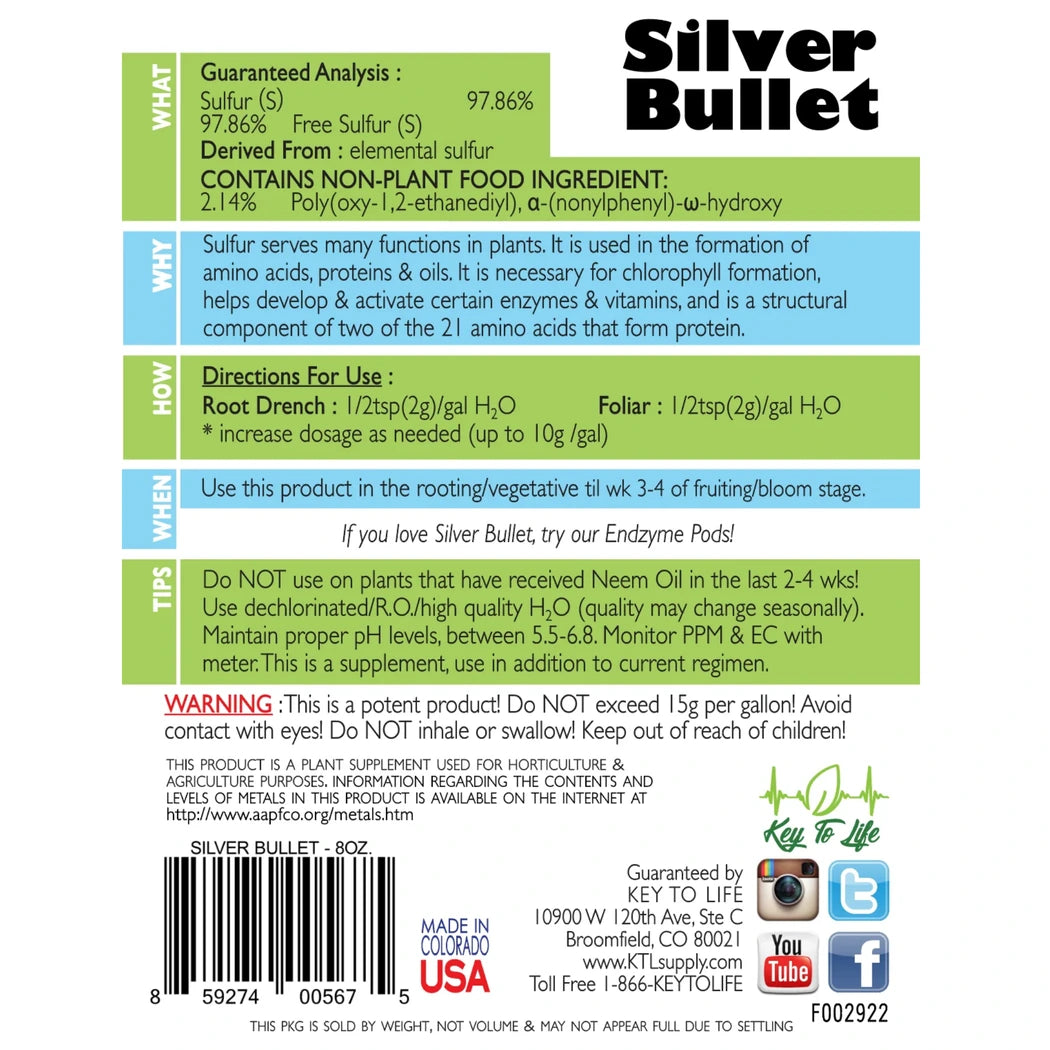 Key To Life Silver Bullet back label