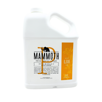 Mammoth P 1 Gallon