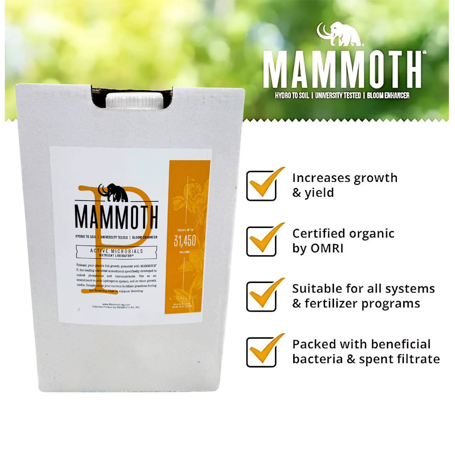 Mammoth P Active Microbials Keypoints