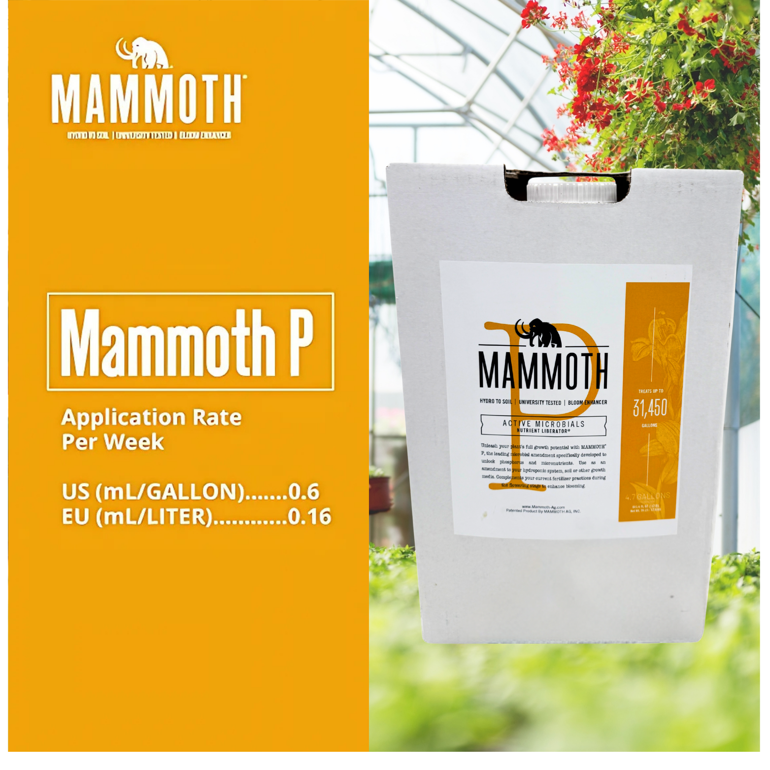 Mammoth P Active Microbials Application Rate