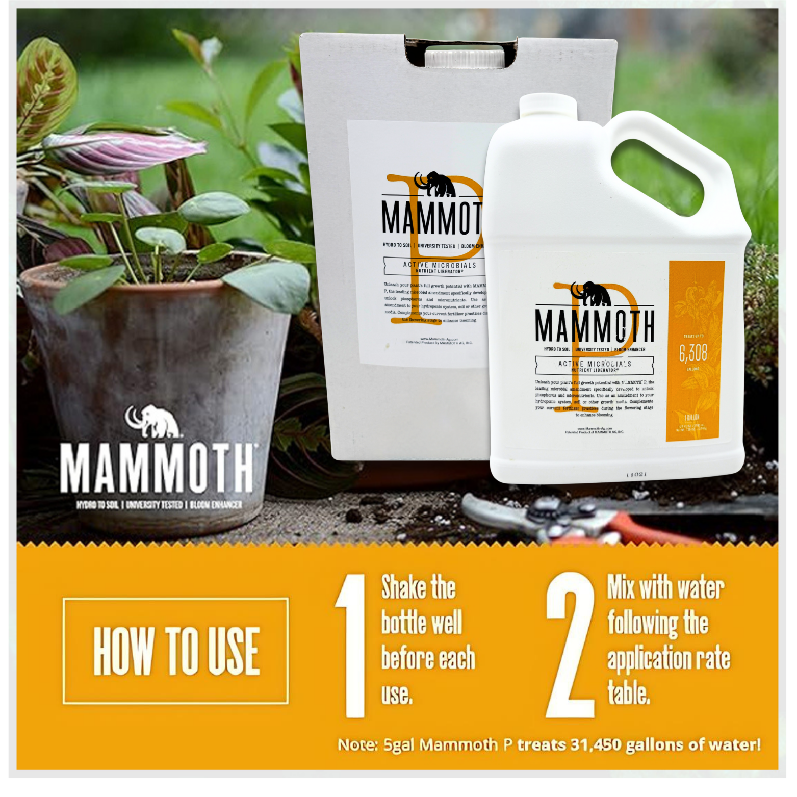 Mammoth P Active Microbials How to Use
