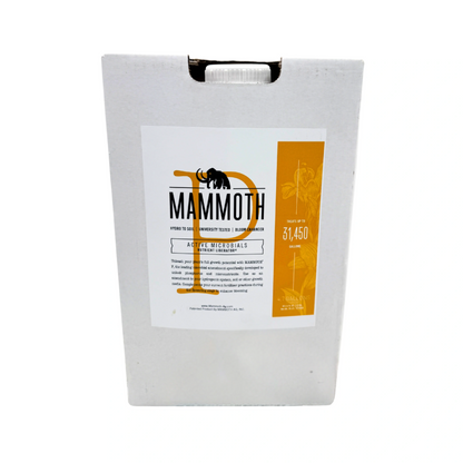 Mammoth P 5 Gallons