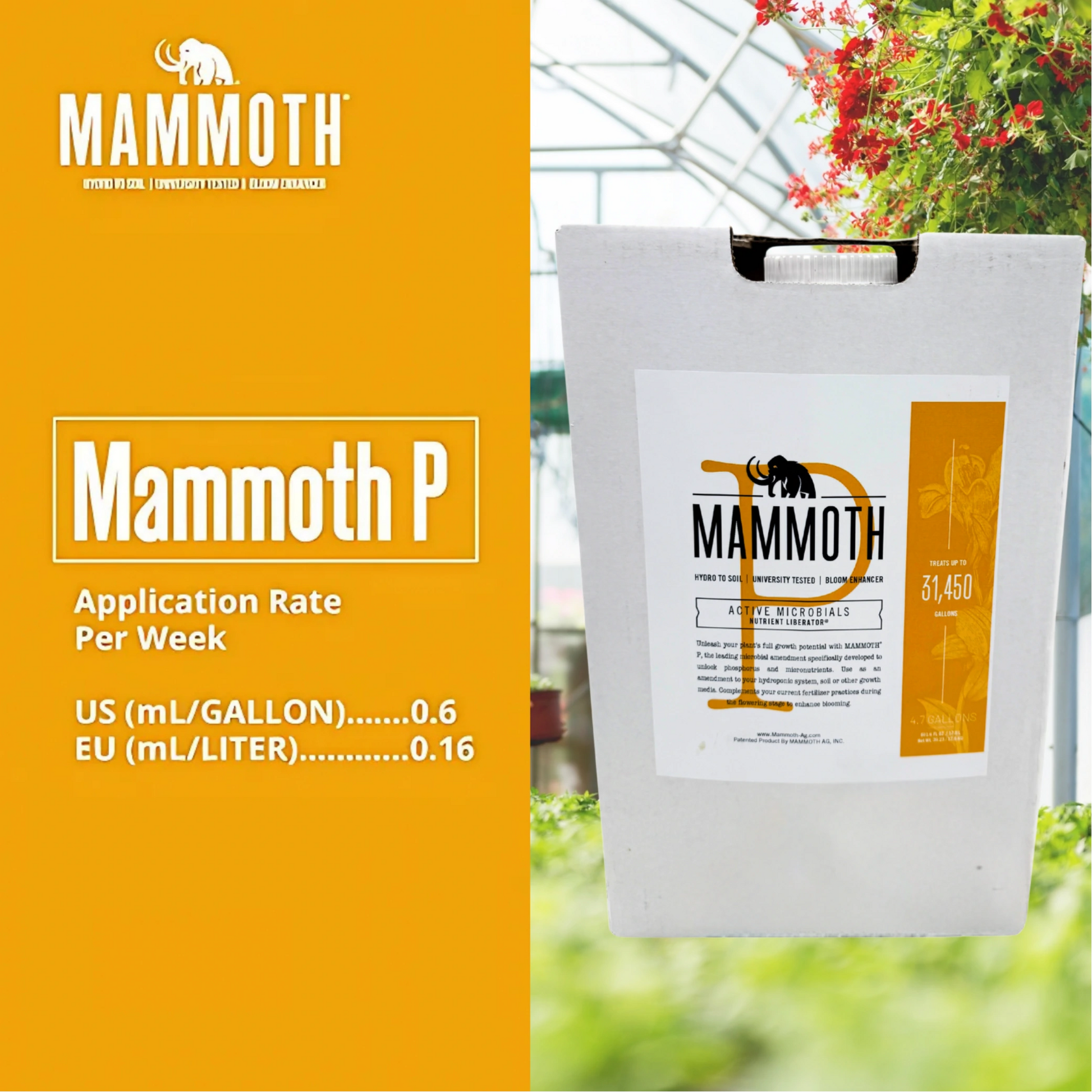 Mammoth P Active Microbials Application Rate