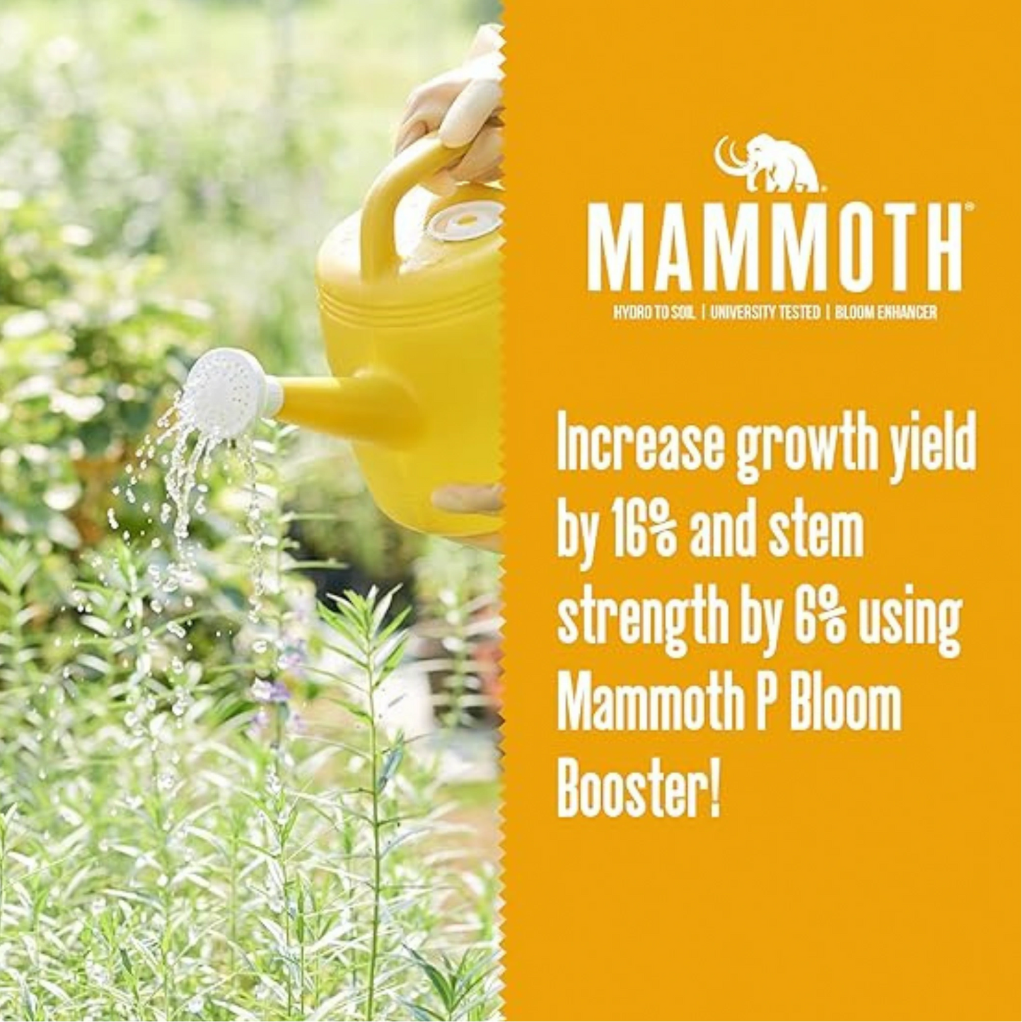 Mammoth P Active Microbials Growth Yield