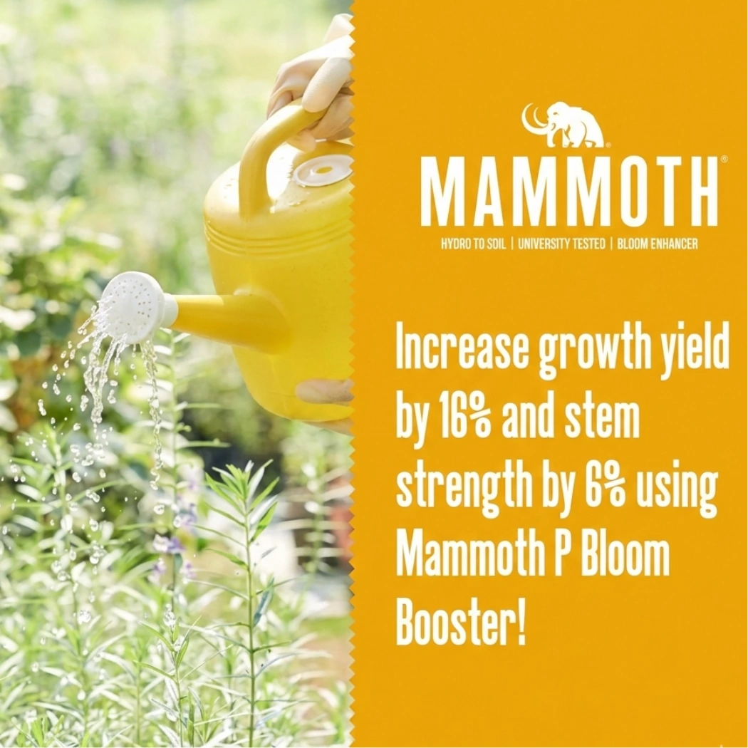 Mammoth P Active Microbials Growth Yield