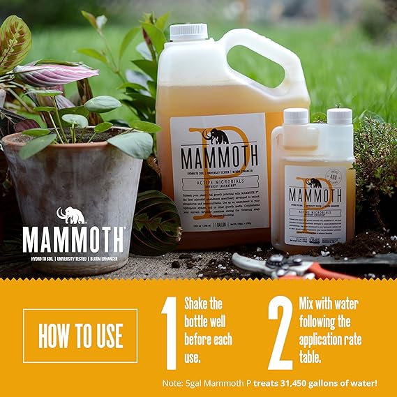 Mammoth P Active Microbials How to Use