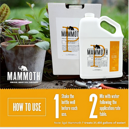 Mammoth P Active Microbials How to Use