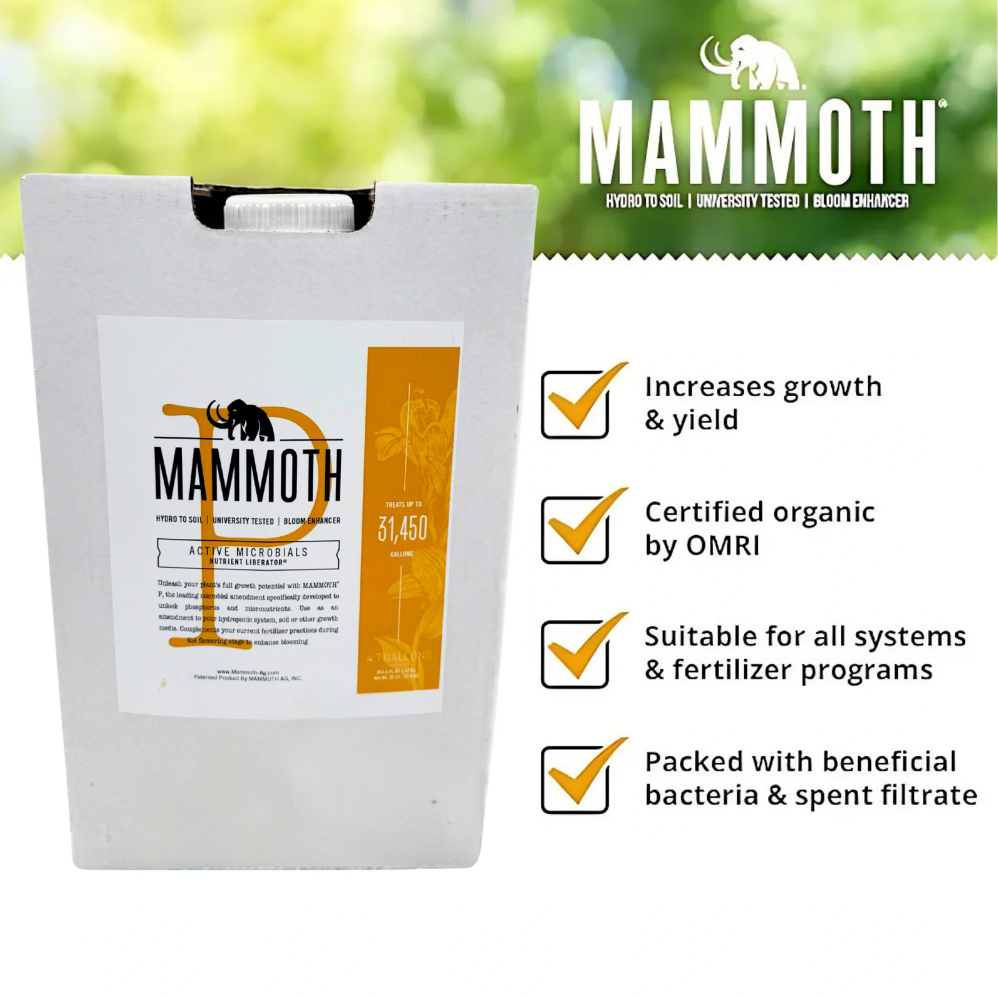 Mammoth P 250ml ×3マンモスP Mammoth P（マンモスP）250ml : 室内園芸専門店 Home Grown - 通販