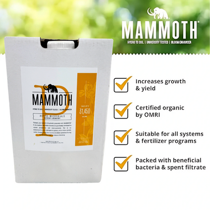 Mammoth P Active Microbials Keypoints