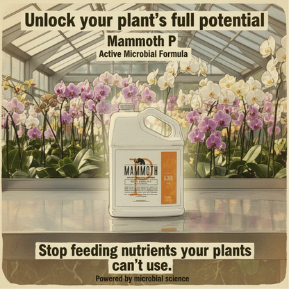 Mammoth P heroe unlock plant full potential
