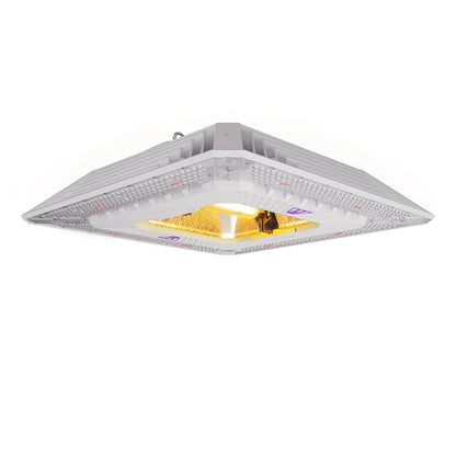 Matrix Hybrid 1000W