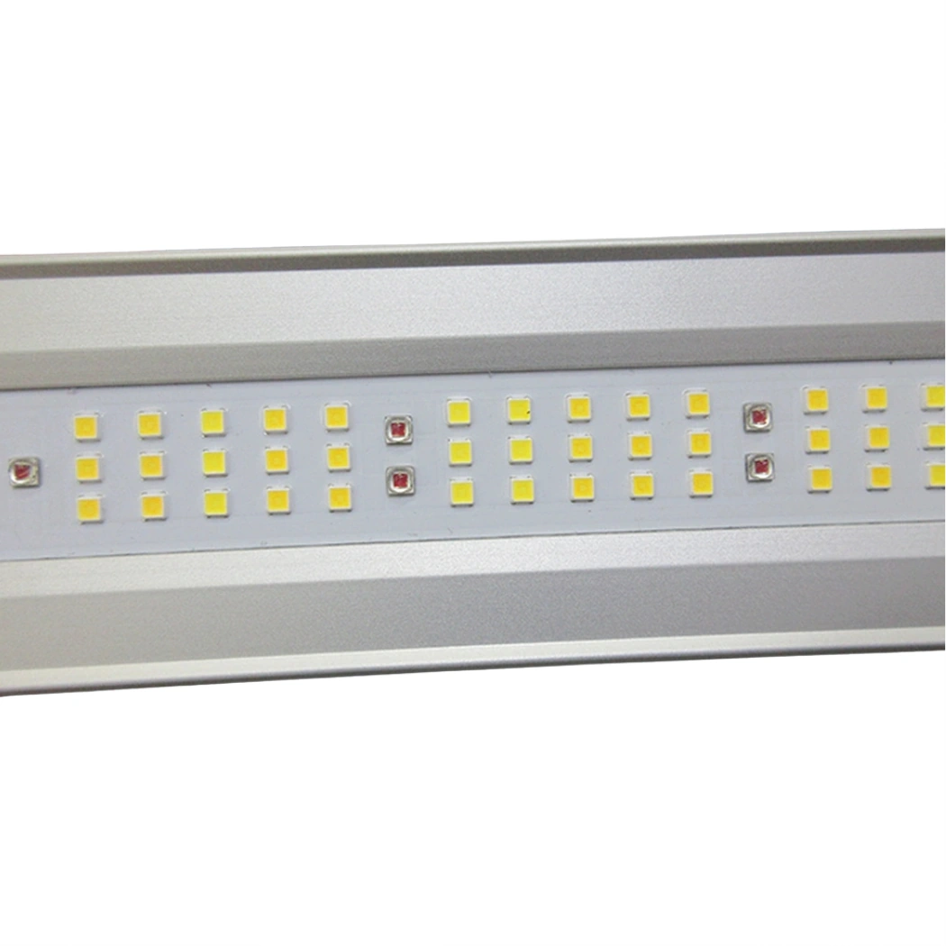 Matrix M6 685W leds