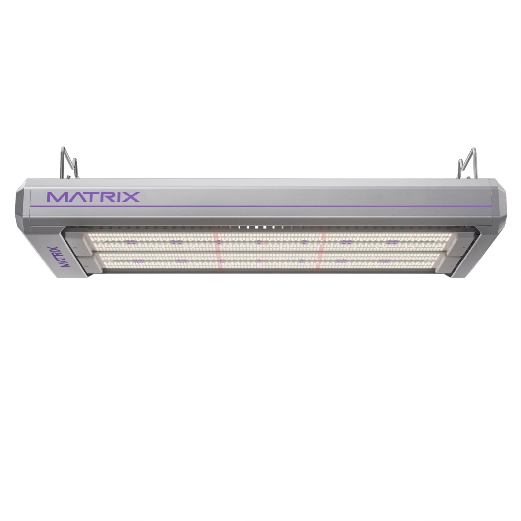Matrix Vega Dyna 1000W LED hang position