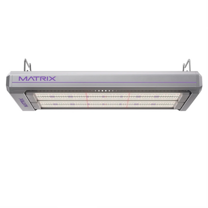 Matrix Vega Dyna 1000W LED hang position