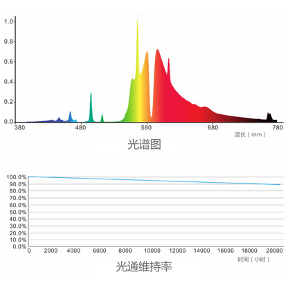 MegaPhoton 1000w DE Commercial Fixture with Lamp 277v spectrum