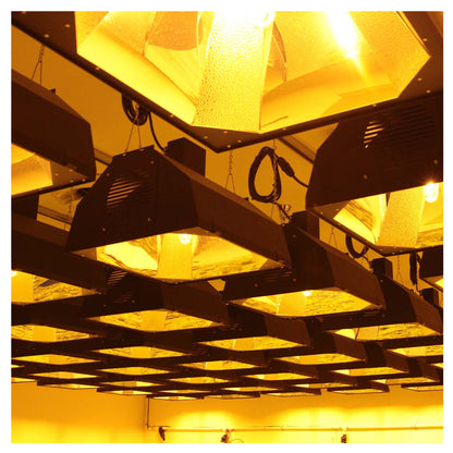 OG Vertical Reflector arrange