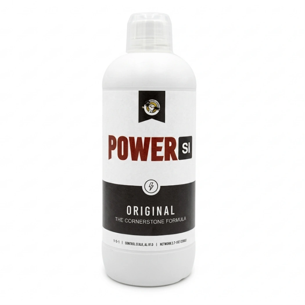 PowerSi Original Silicic Acid 1Liter
