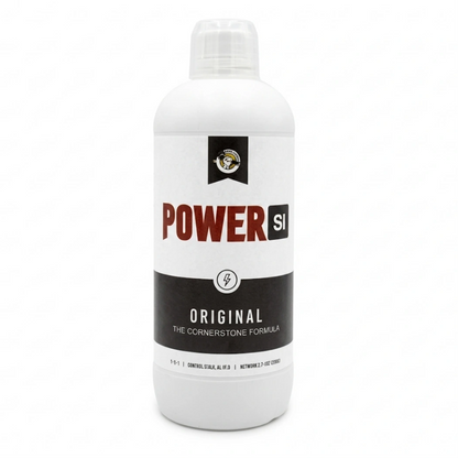 PowerSi Original Silicic Acid 1Liter