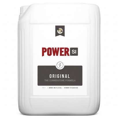 PowerSi Original Silicic Acid 20 Liters