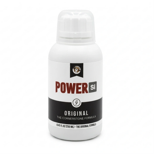 PowerSi Original Silicic Acid 250ml