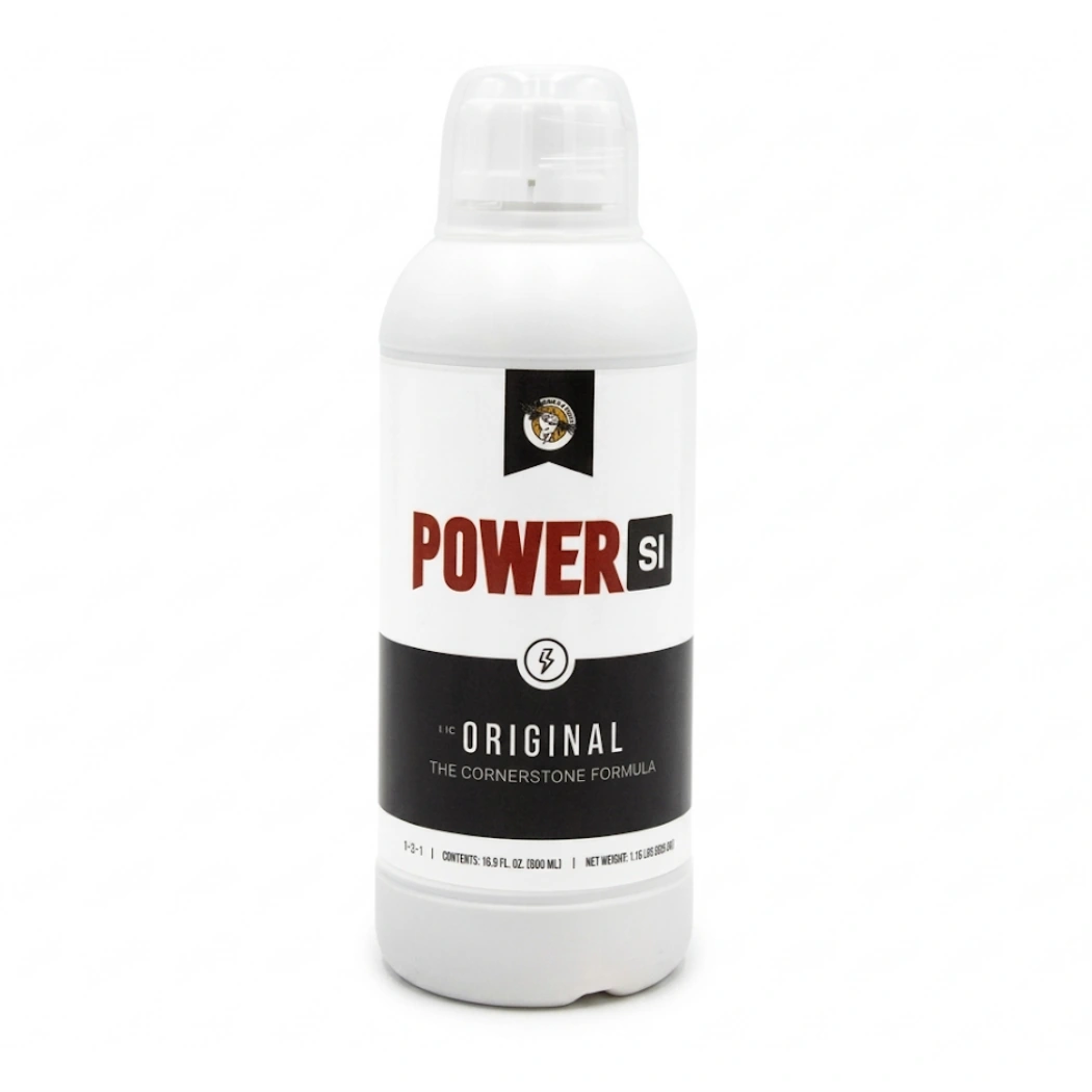 PowerSi Original Silicic Acid 500ml
