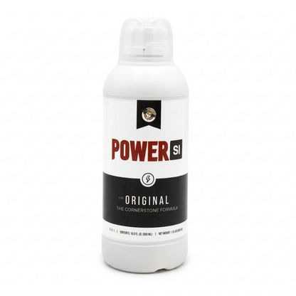 PowerSi Original Silicic Acid 500ml