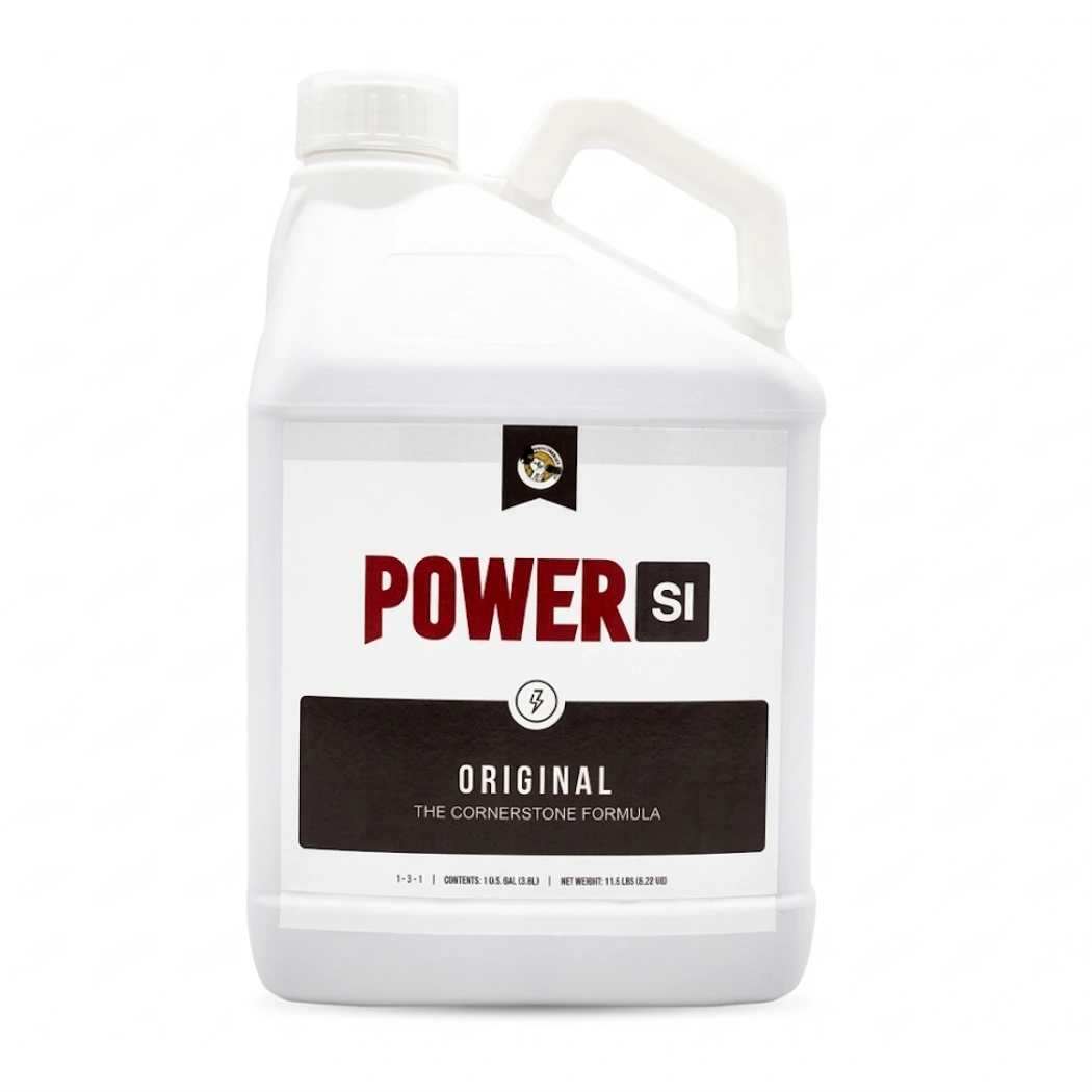 PowerSi Original Silicic Acid 5 Liters