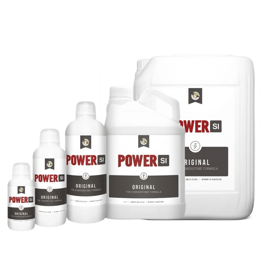 PowerSi Original Silicic Acid family