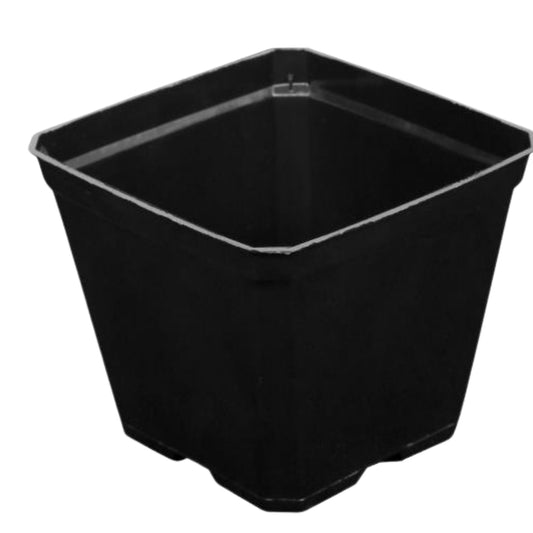 Premium Square Black Plastic Pots