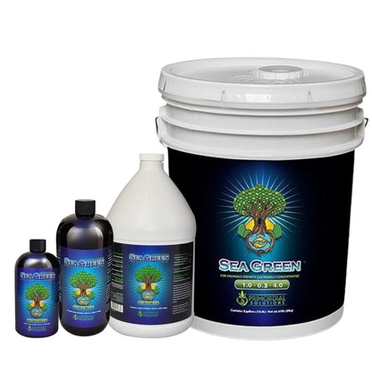 Primordial Solutions Sea Green family