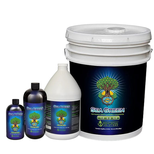 Primordial Solutions Sea Green family