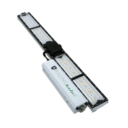 Scynce LED Raging Kale II 250W main image