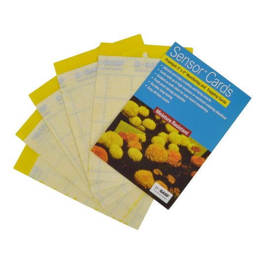 Sensor Cards Yellow Monitoring and Trapping Cards