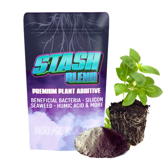 Stash Blend premium plant additive packaging with a small potted plant and rock on a white background