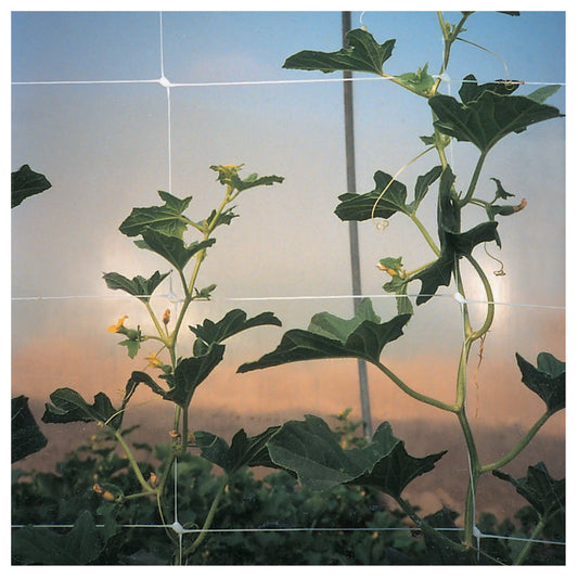 Tenax HORTONOVA Trellis Net  plant support