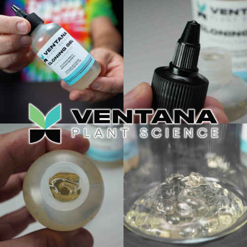Ventana Plant Science Cloning Gel - Hero