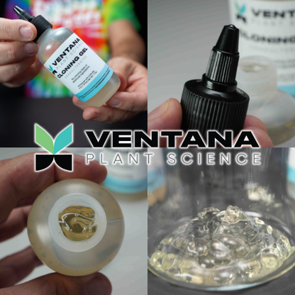 Ventana Plant Science Cloning Gel - Hero