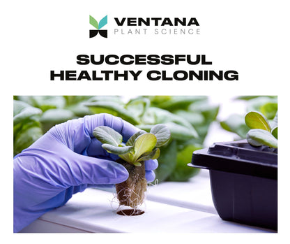 Ventana Plant Science Cloning Gel - Healthy Cloning