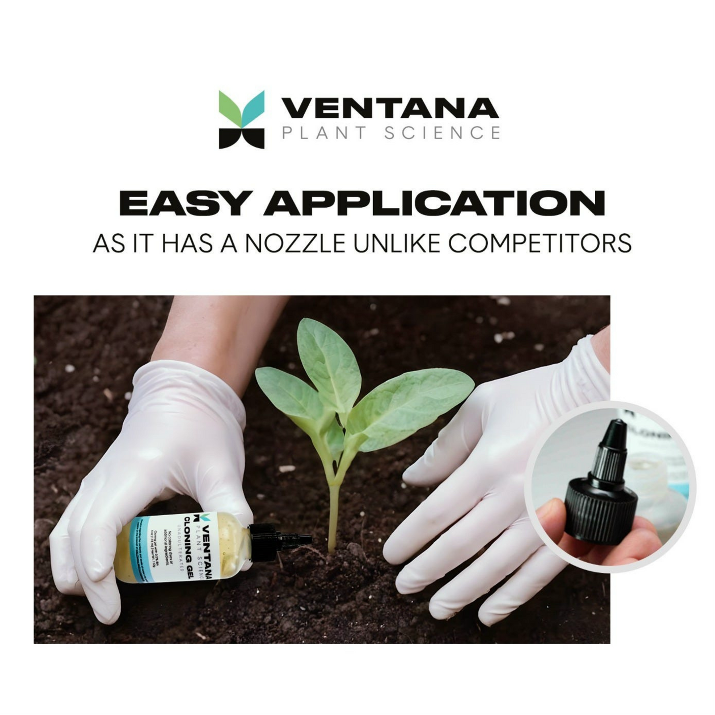 Ventana Plant Science Cloning Gel easy application