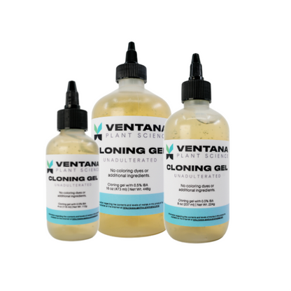 Ventana Plant Science Cloning Gel family