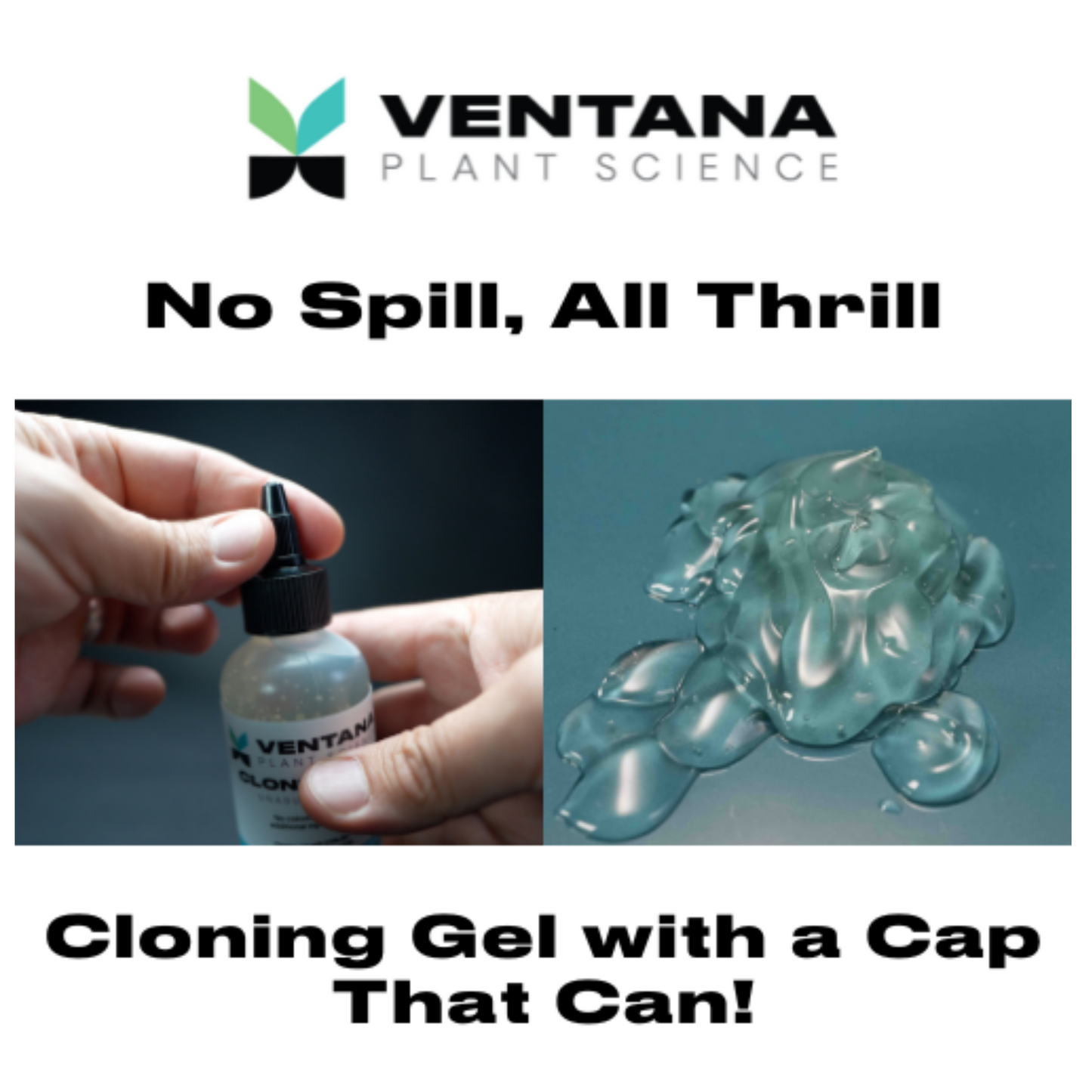 Ventana Plant Science Cloning Gel no spill