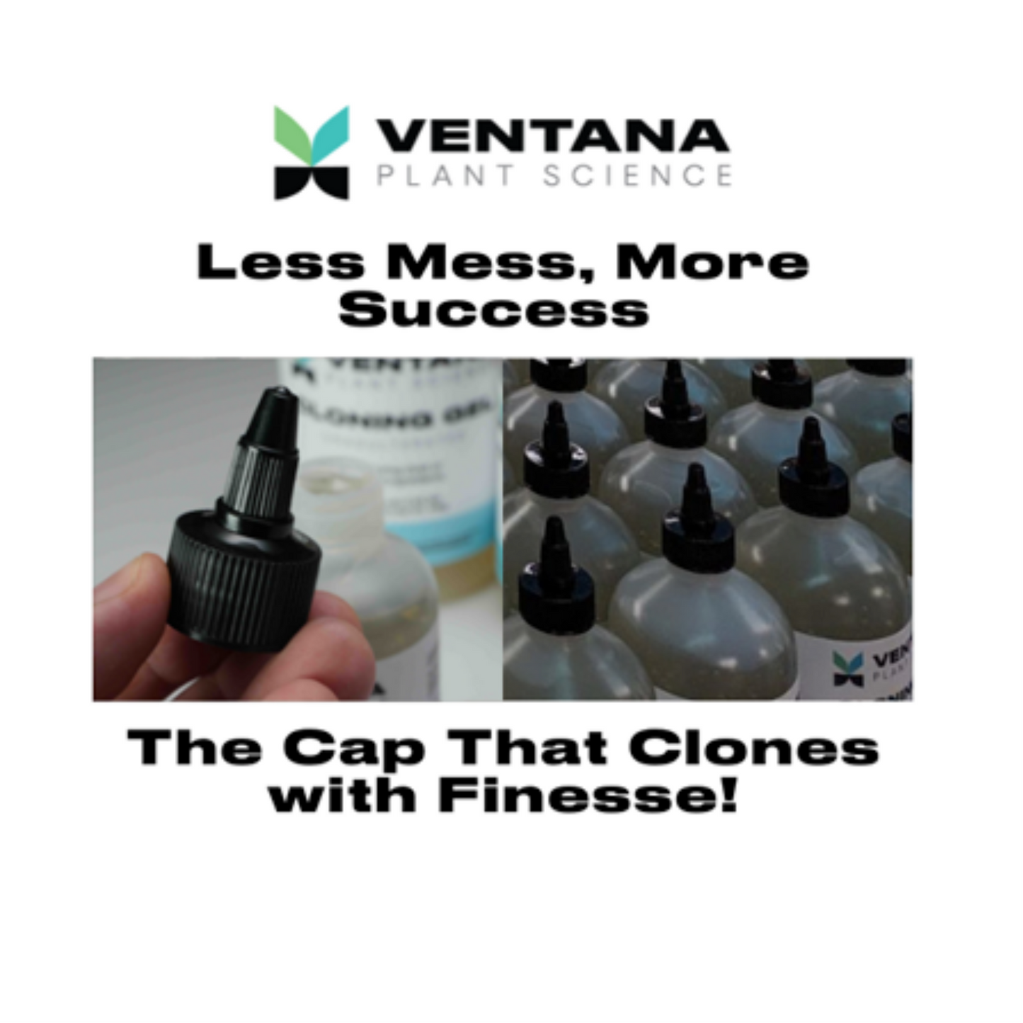 Ventana Plant Science Cloning Gel rolling cap