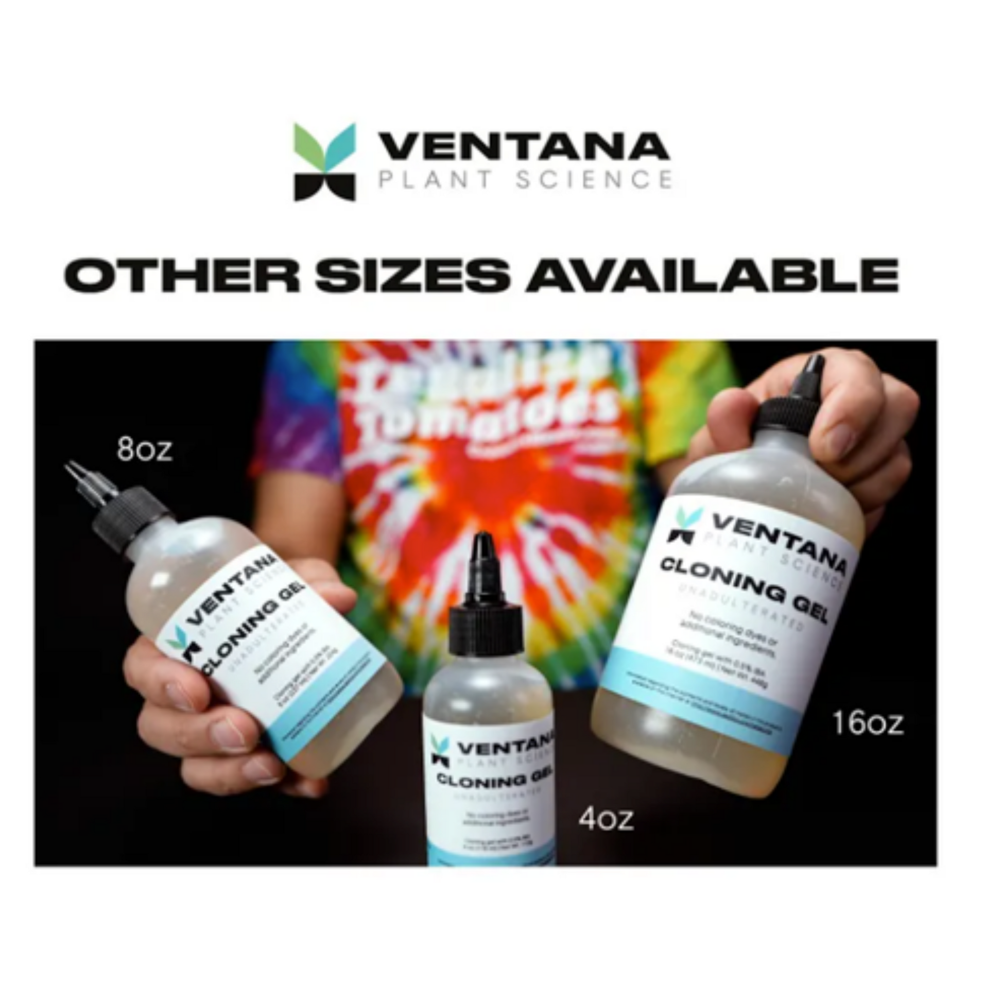 Ventana Plant Science Cloning Gel sizes