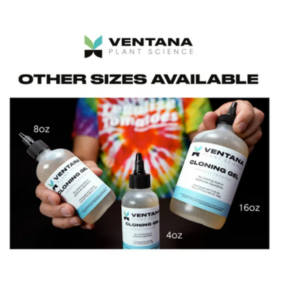 Ventana Plant Science Cloning Gel sizes