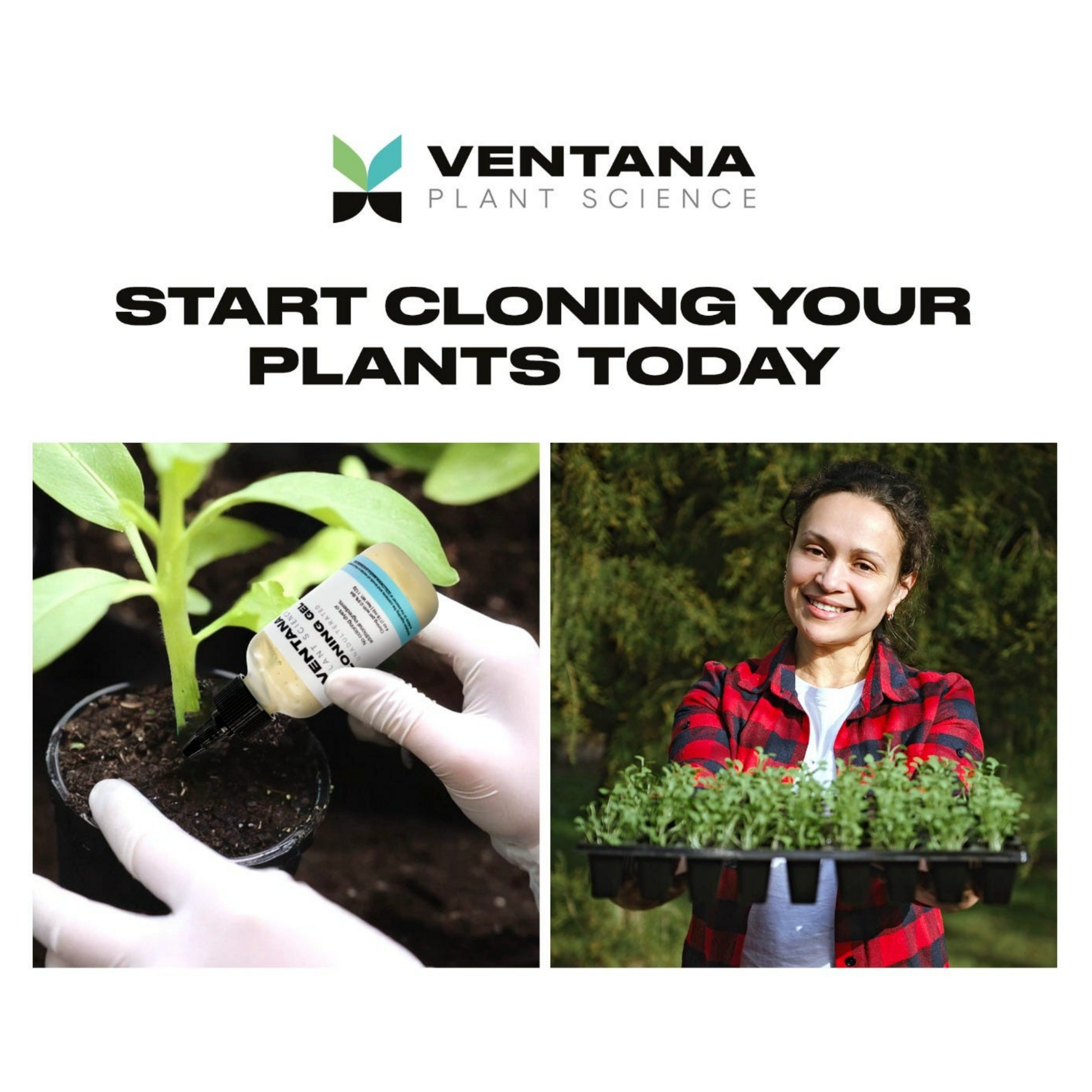 Ventana Plant Science Cloning Gel start cloning