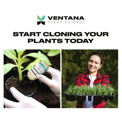 Ventana Plant Science Cloning Gel start cloning