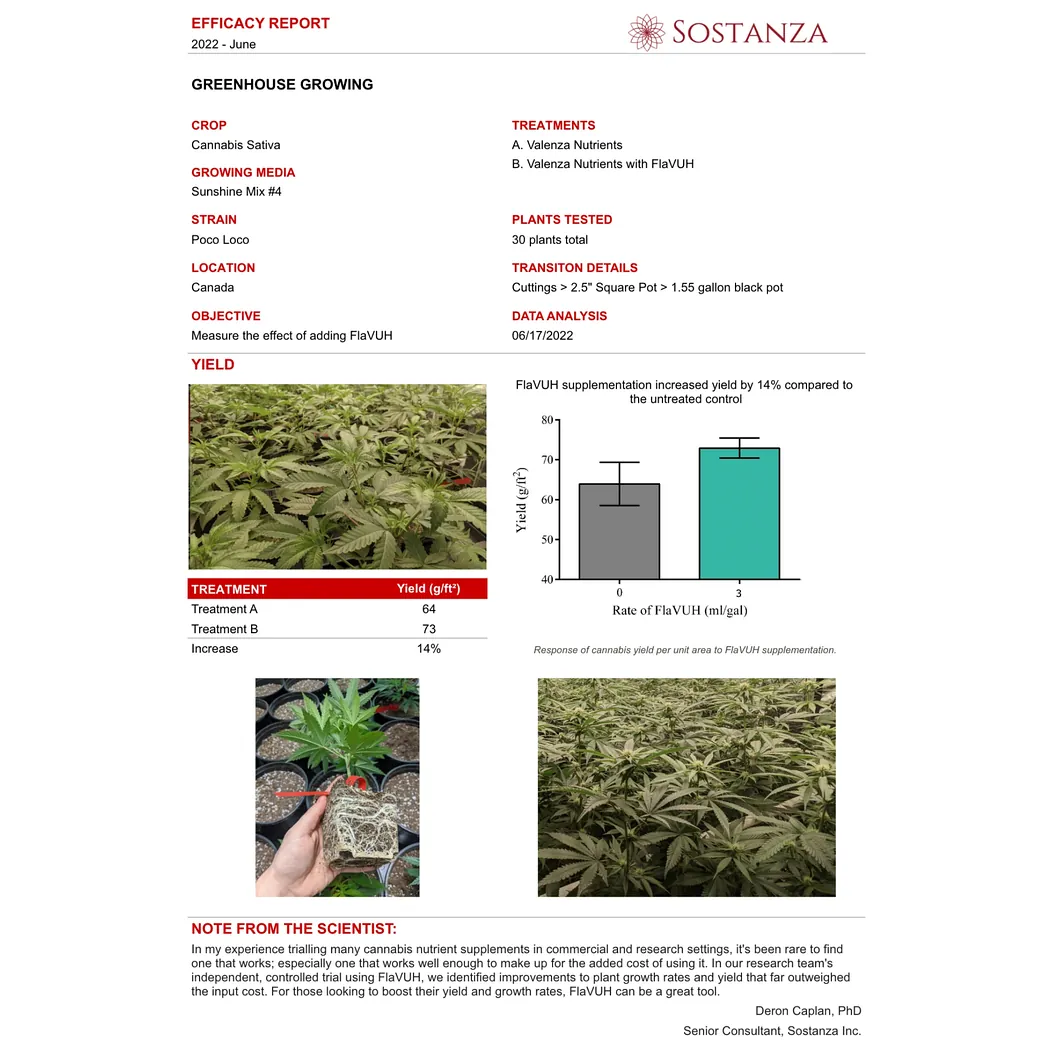 Ventana Plant Science FlaVUH 4X sostanza