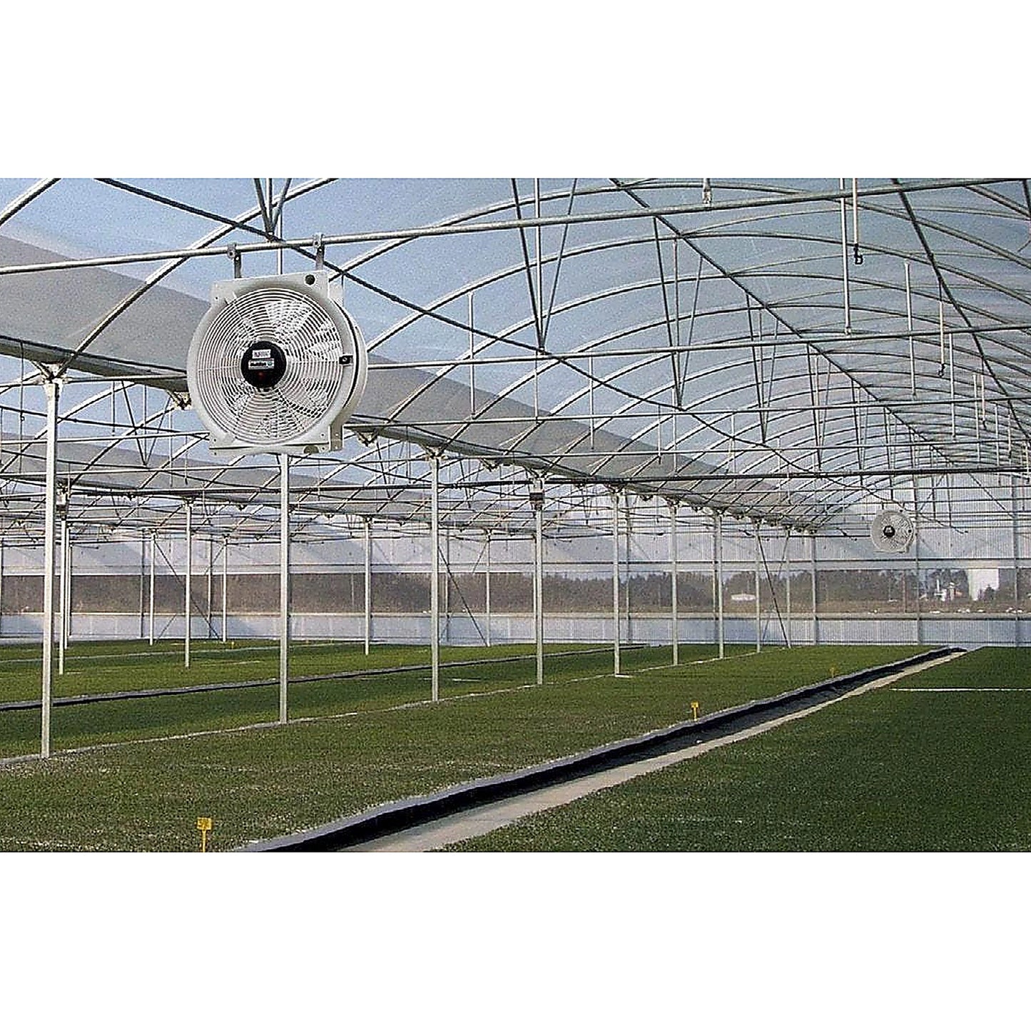 Vostermans Multifan Greenhouse HAF Q Fan - 20in in action